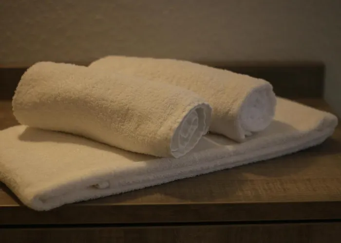 Zum Goldenen Bullen Hotel *